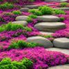"Heirloom Lavender Seeds - 3000+ Non-GMO Seeds for Fragrant Perennial Ground Cover"